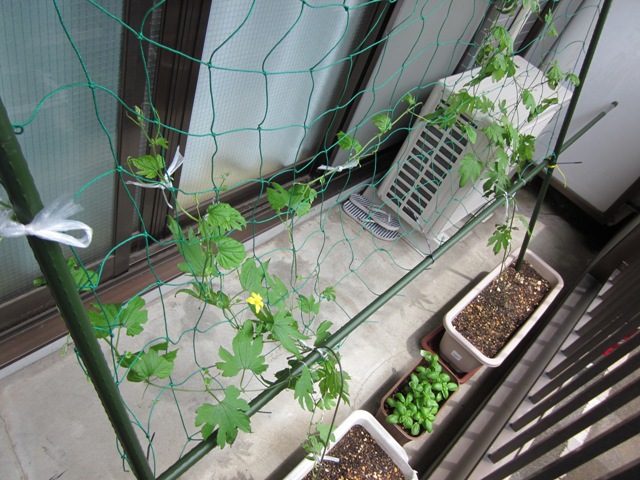 2012_0621_105515-IMG_2106.jpg