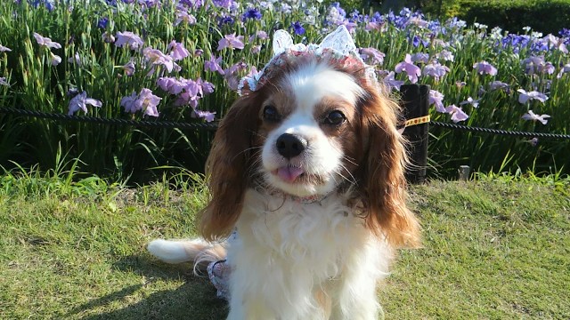 2012_0625_162600-DCIM0097.jpg