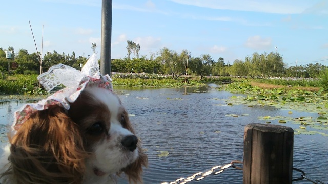 2012_0625_164100-DCIM0144.jpg