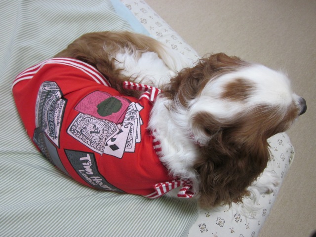 2012_0704_131508-IMG_2235.jpg