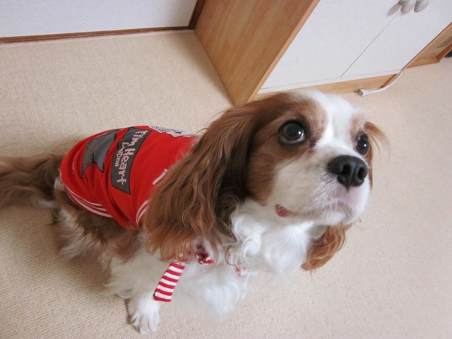 2012_0704_143154-IMG_2244.jpg