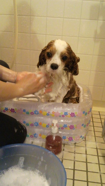 2012_0709_130100-DCIM0171.jpg