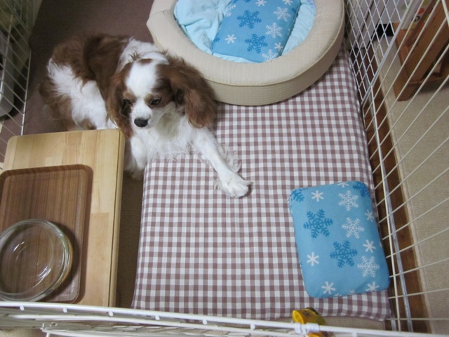 2012_0709_172052-IMG_2265.jpg
