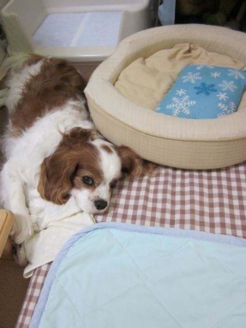 2012_0710_110806-IMG_2269.jpg