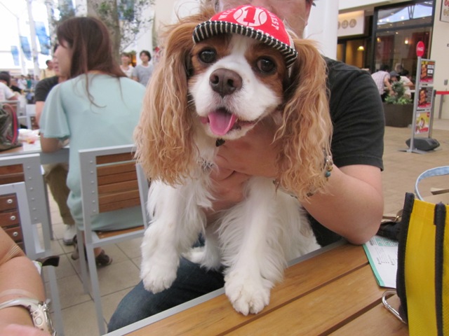 2012_0716_144732-IMG_2279.jpg