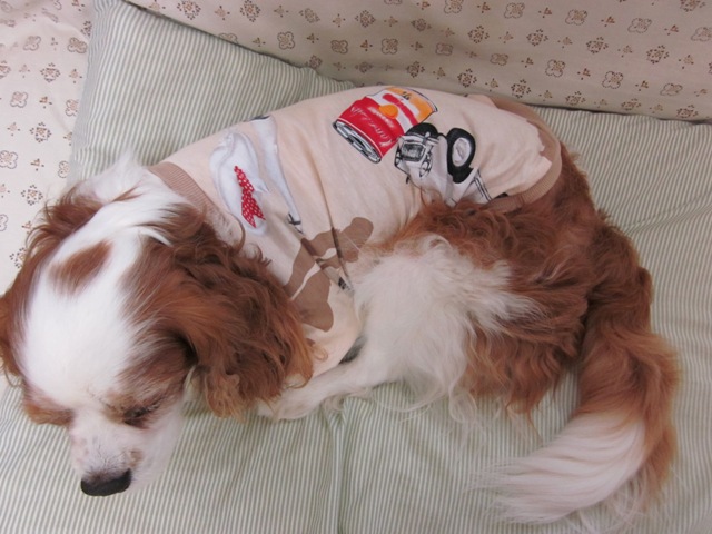 2012_0717_132500-IMG_2291.jpg