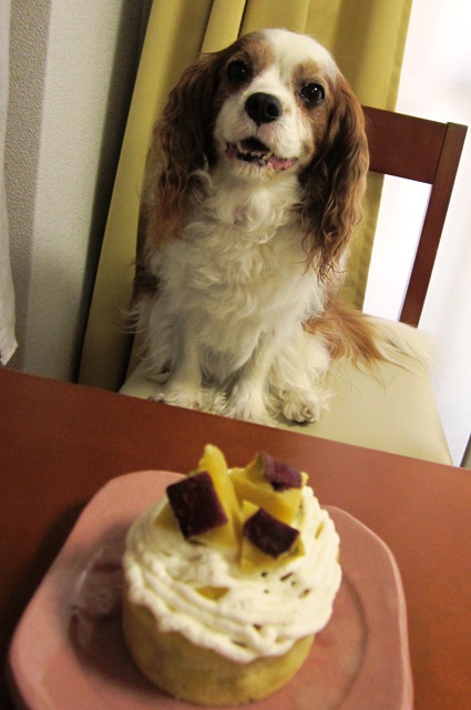 2012_0718_143442-IMG_2320.jpg