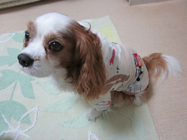 2012_0718_165409-IMG_2339.jpg