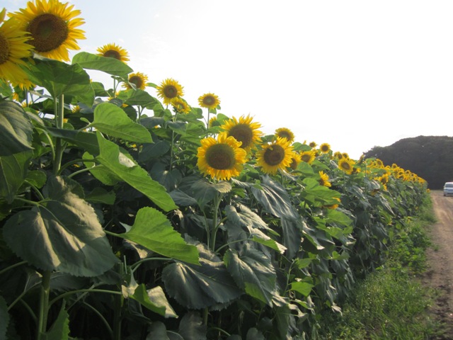 2012_0719_165155-IMG_2355.jpg