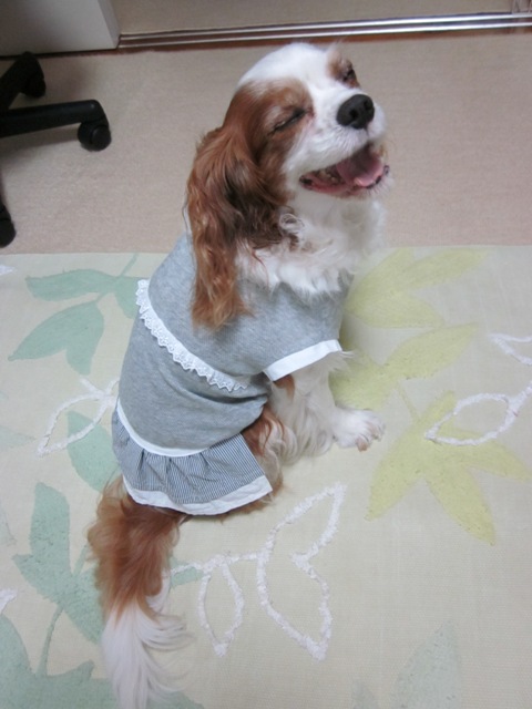 2012_0723_152345-IMG_2392.jpg