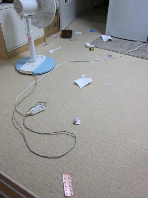 2012_0725_212222-IMG_2398.jpg