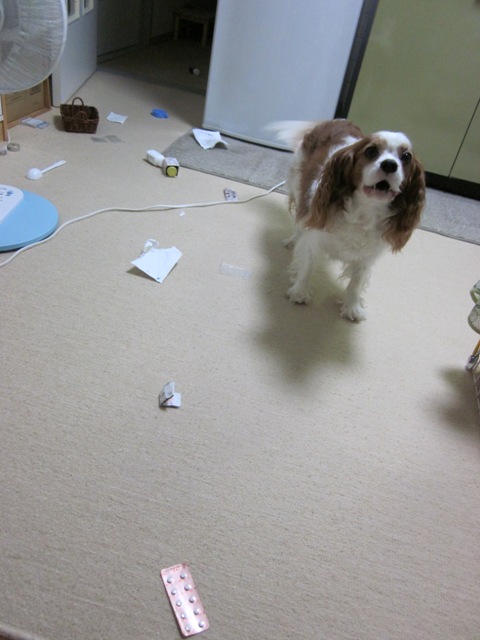 2012_0725_212248-IMG_2400.jpg
