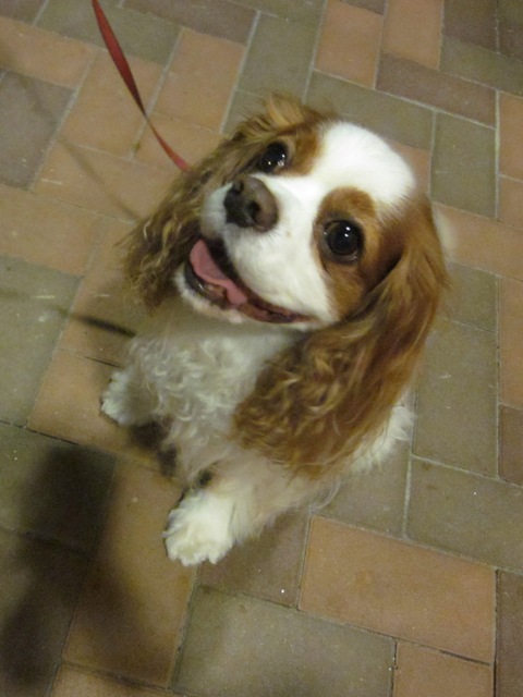 2012_0726_210317-IMG_2425.jpg