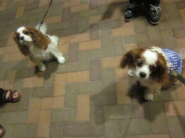 2012_0726_210705-IMG_2440.jpg