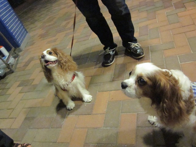 2012_0726_210807-IMG_2446.jpg