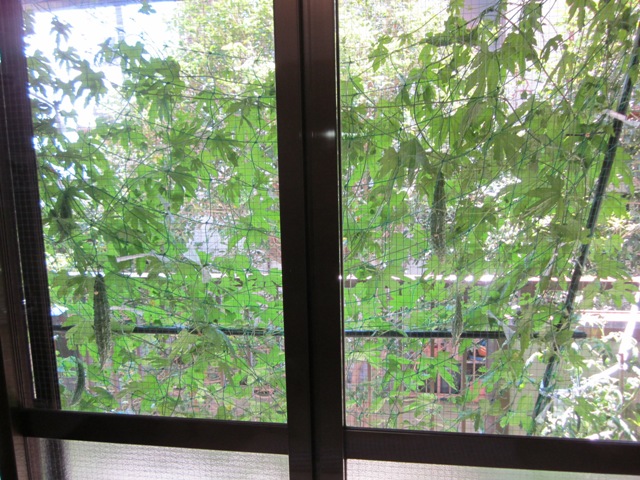 2012_0802_120204-IMG_2465.jpg