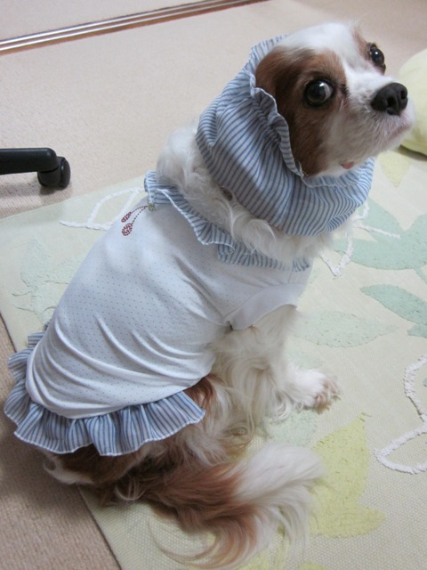 2012_0803_151925-IMG_2475.jpg