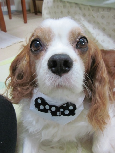 2012_0807_142717-IMG_2504.jpg