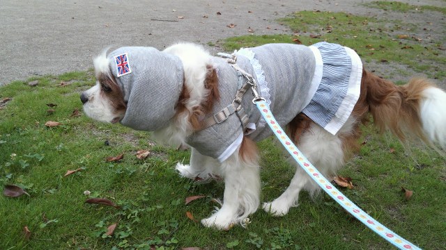 2012_0810_080300-DCIM0160.jpg