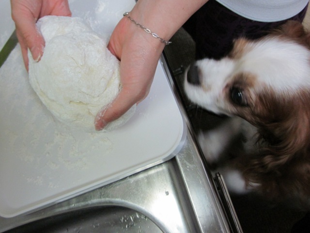 2012_0813_132031-IMG_2541.jpg