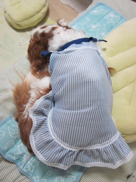 2012_0814_181807-IMG_2557.jpg