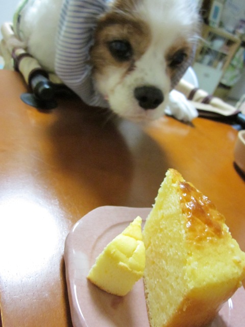 2012_0820_192449-IMG_2580.jpg