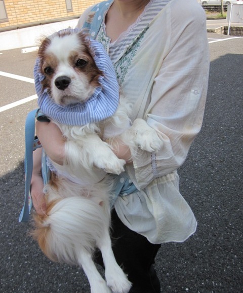 2012_1005_105324-IMG_2735.jpg