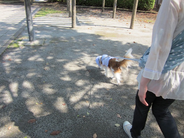 2012_1005_105836-IMG_2737.jpg