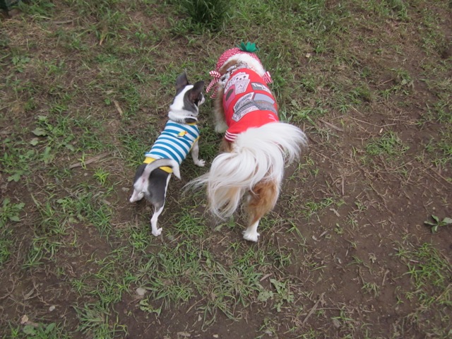 2012_1008_151605-IMG_2781.jpg