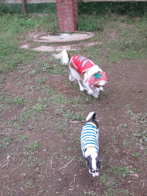 2012_1008_151721-IMG_2784.jpg
