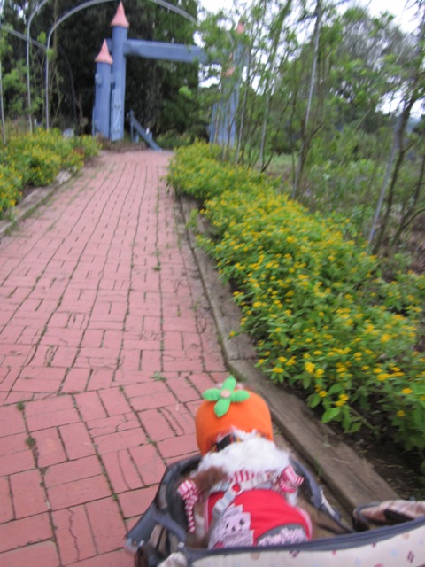 2012_1008_153036-IMG_2798.jpg