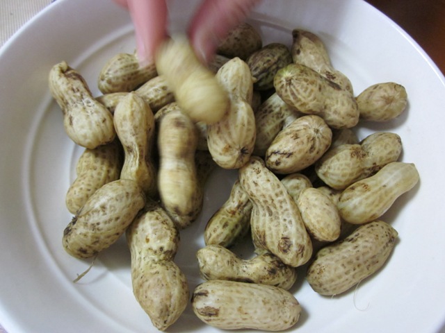 2012_1015_144913-IMG_2814.jpg