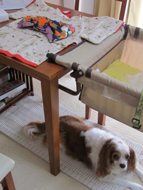 2012_1016_134917-IMG_2839.jpg