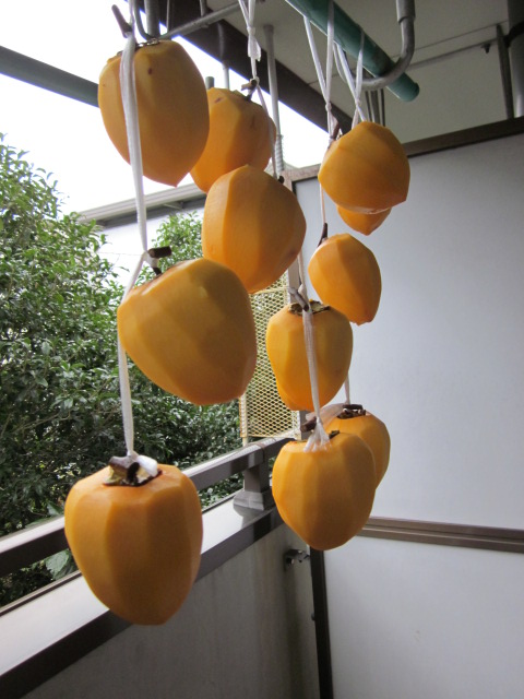 IMG_3342.jpg