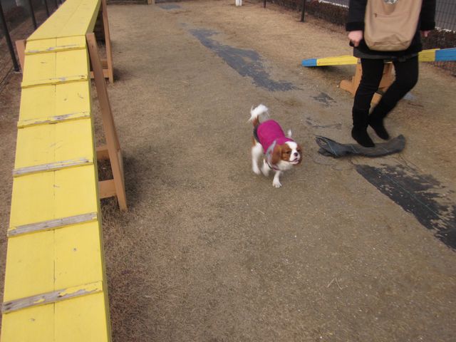 IMG_7037_201401152350053d3.jpg