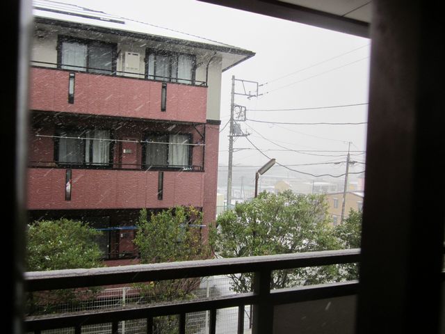 IMG_7358.jpg