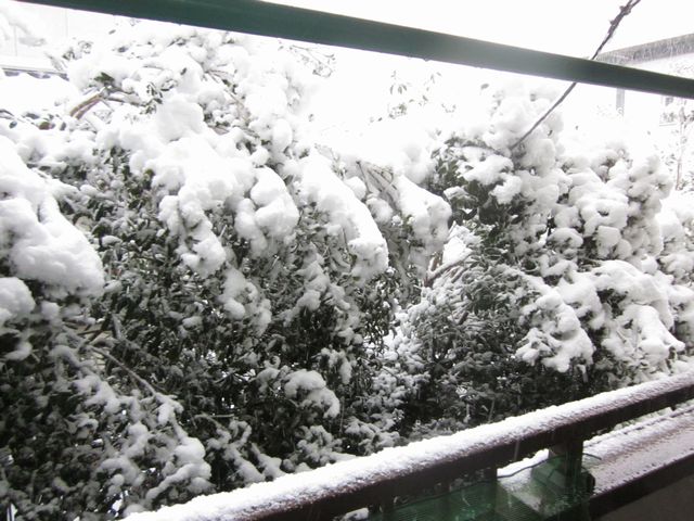 IMG_7371.jpg