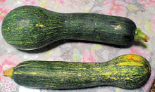henkabocha.jpg