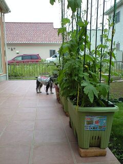 image0001.jpg