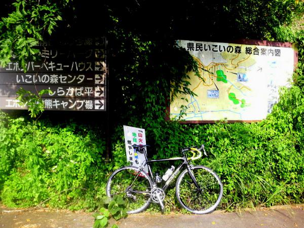 2012081208180000-002.jpg