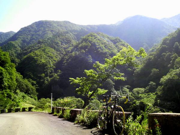 2012091309560000.jpg