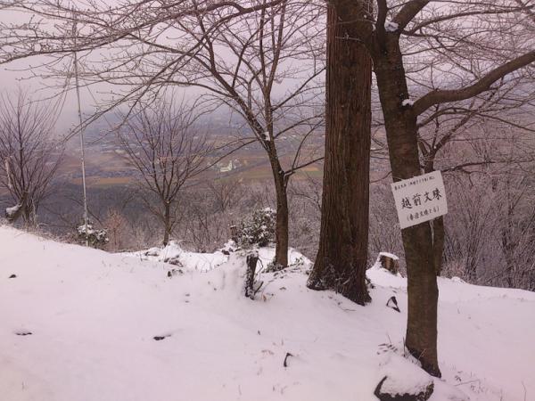 DSC_0221.jpg