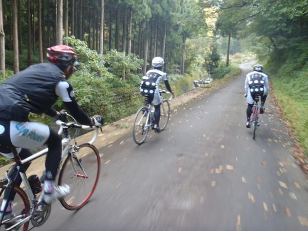 PA210029.jpg
