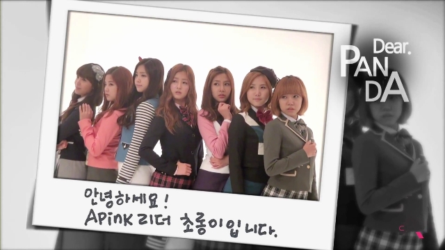 Apink_' 2nd Anniversary '_6