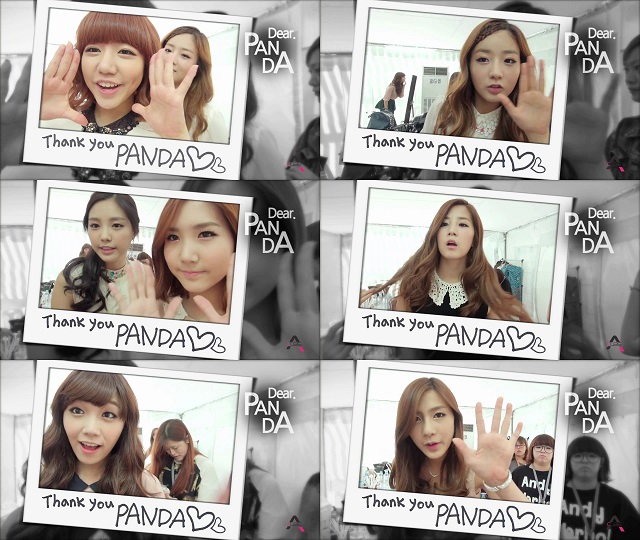 Apink_' 2nd Anniversary '_4
