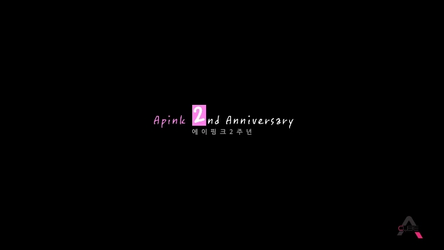 Apink_' 2nd Anniversary '_2