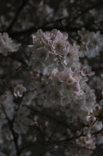 DSC04765.jpg