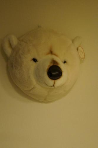DSC04968.jpg