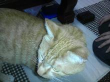 PE_20120813222341.jpg