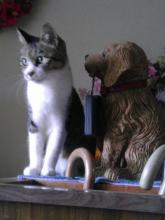 PE_20120813222507.jpg